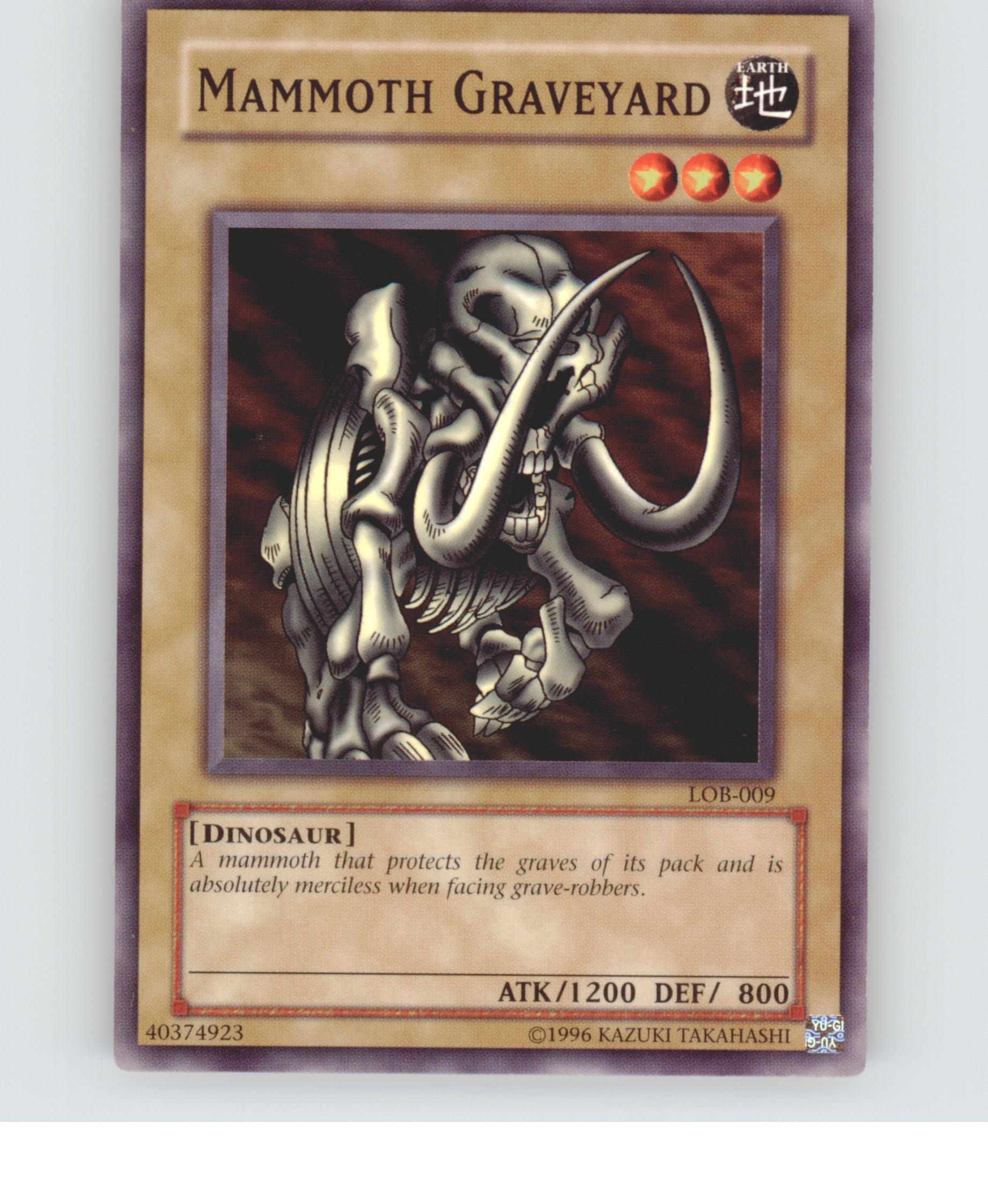 Mammoth Graveyard